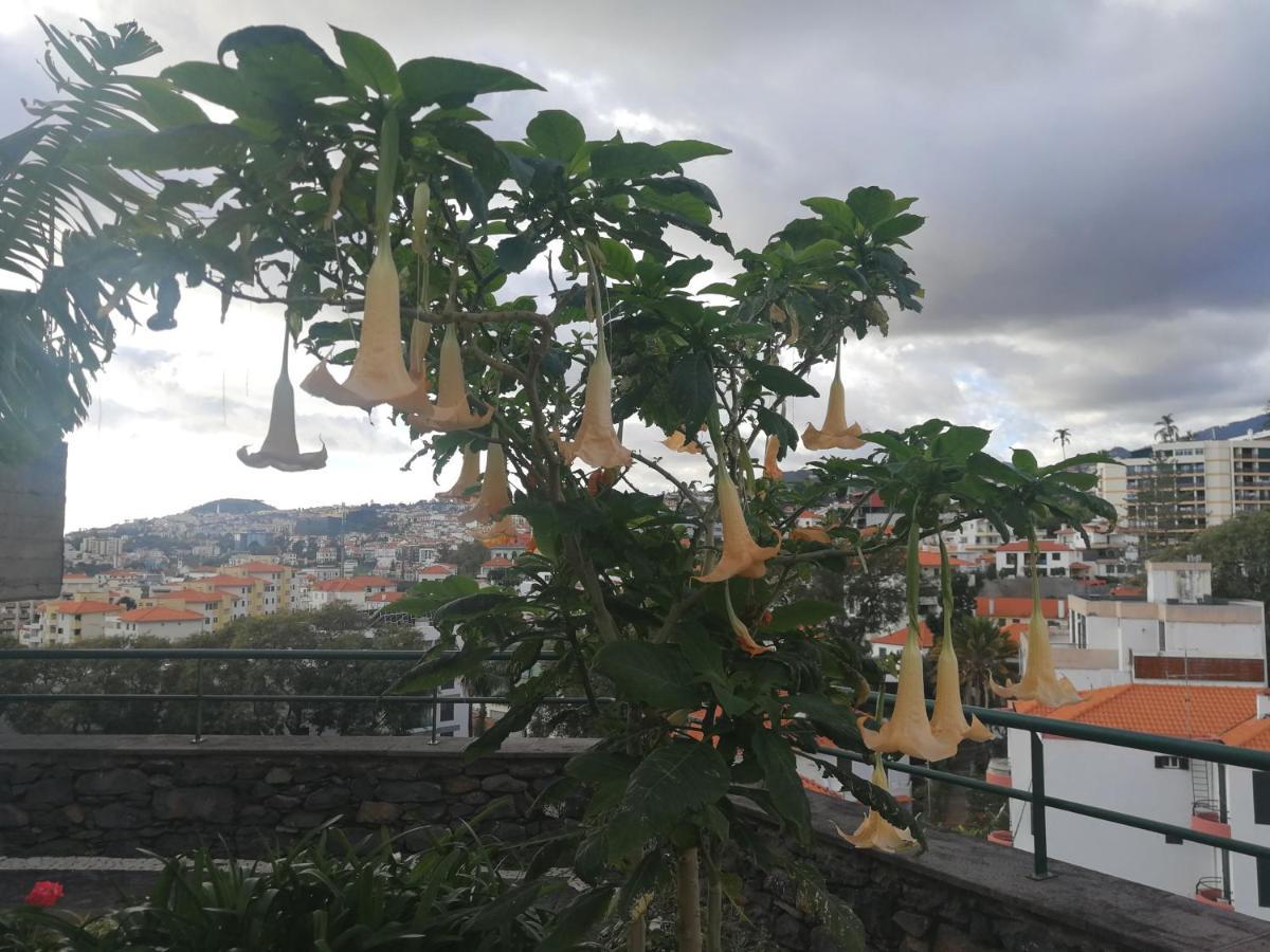 Casa Vanday Funchal  Extérieur photo